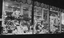 baurs-window